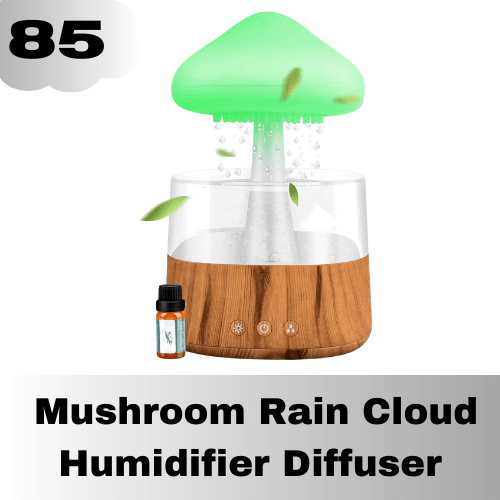 Mushroom rain cloud humudifier